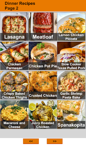 Dinner Recipes : Cookbook App Screenshot 1