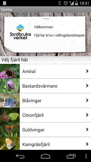Fjärilar Screenshot 0
