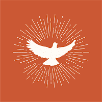 Surrendered App