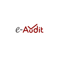 E-Audit