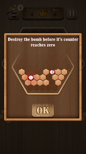 Woodytris: Hexa Puzzle Screenshot 3