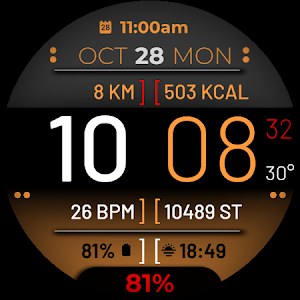 Watch Face WF102 Screenshot 3