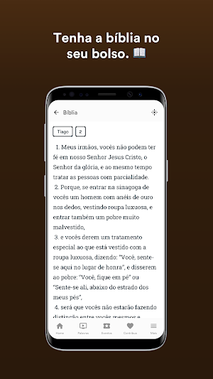 TBBF (Desde 1984) Screenshot 2