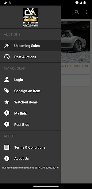CVA Screenshot 3