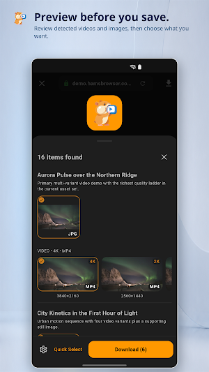 Hams: Video & Image Downloader Screenshot 1