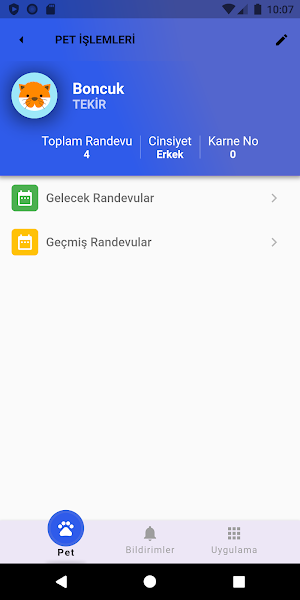 Bulutvet Screenshot 3