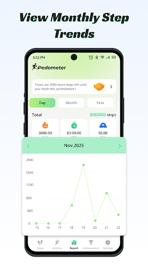 Step Diary – Daily Pedometer Screenshot 3