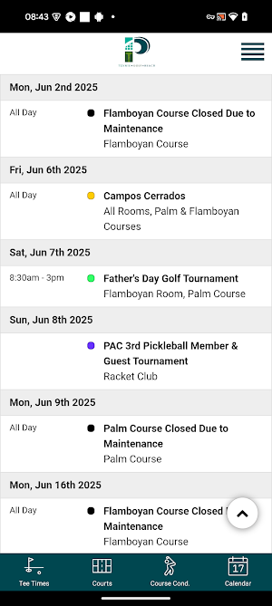 Palmas The Club Screenshot 3