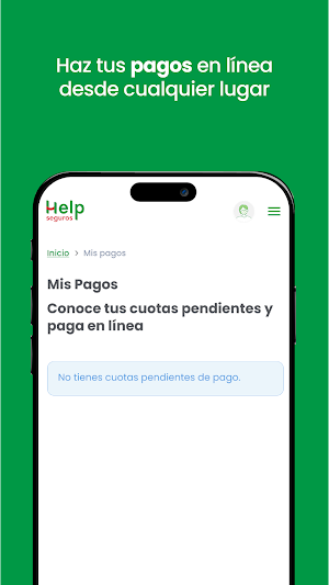 Help Seguros Screenshot 3