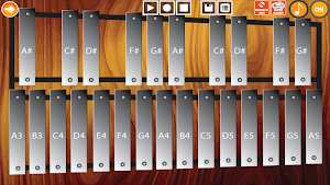 Professional Xylophone Screenshot 0