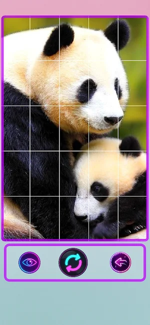 Puzzle Fever: Pandas Screenshot 3