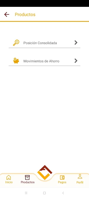 Andina App Screenshot 3
