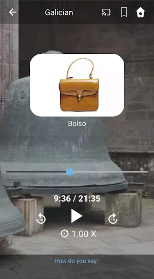 Learn Galician. Speak Galician. Study Galician. Screenshot 1