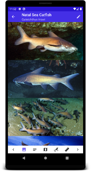 Marine Fish Guide Screenshot 2