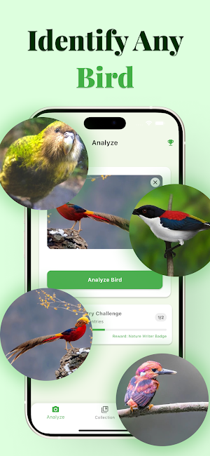 BirdSnap - Bird Identifier Screenshot 0
