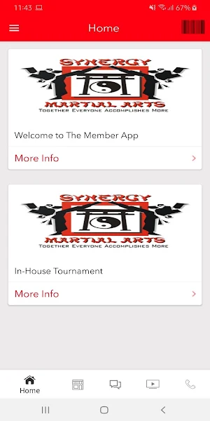 Synergy Karate Screenshot 3