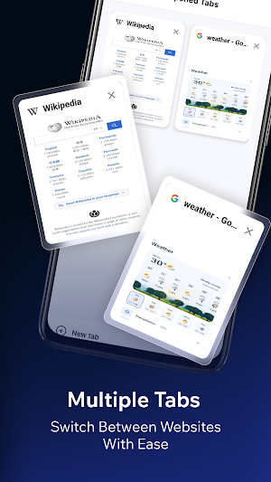 Weblora-Private Browser Screenshot 2