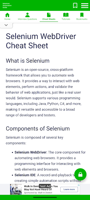 Automation Guide Selenium Screenshot 2