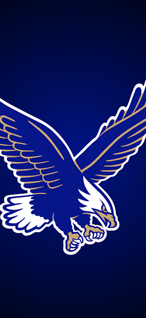 RCS Eagles Screenshot 0