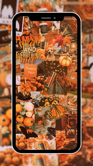 Thanksgivingaesthetic walpaper Screenshot 1