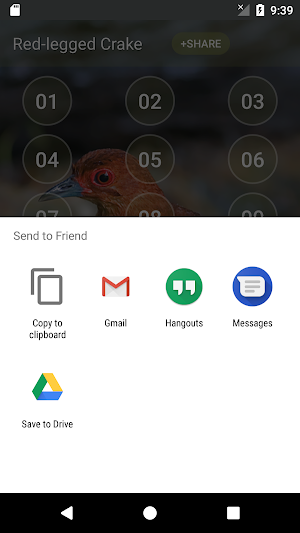 Red-legged crake bird sounds Screenshot 3