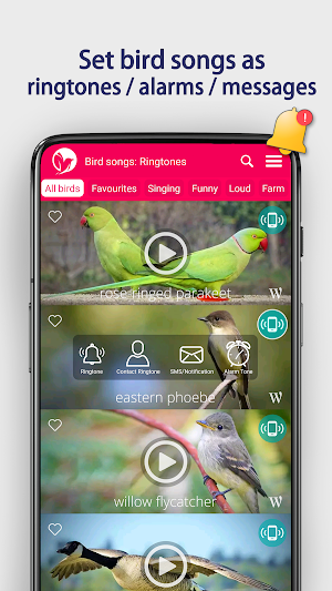 Bird Songs: Ringtones Screenshot 2