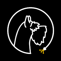 FibraSLP
