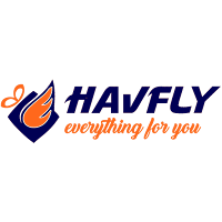 Havfly Live Score