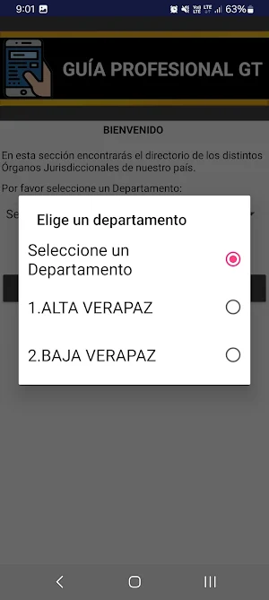 Guia Profesional GT Screenshot 1