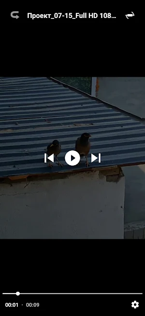 Video Player Screenshot 3