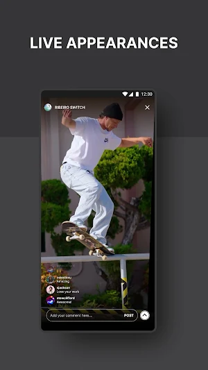 Ribeiro Switch Screenshot 2