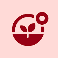 Kiihela: Manage Money, Budget