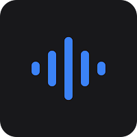 Voice Recorder