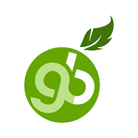 SS Green Basket