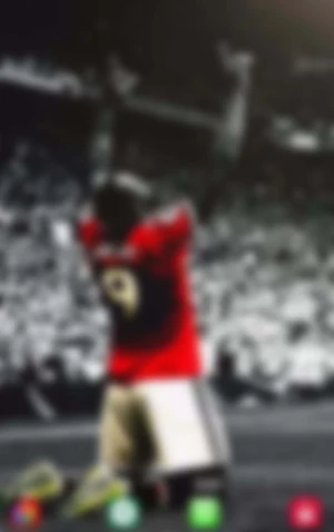 Romelu Lukaku -Wallpapers,puzzle Screenshot 2