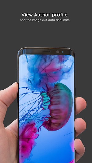 Ocean Wallpapers 8K ULTRA Screenshot 2