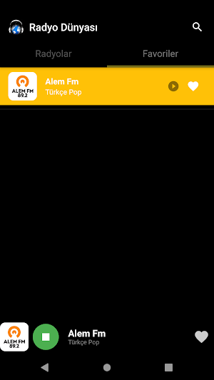 Radyo Dünyası Screenshot 3