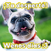 Buenos Días Graciosos