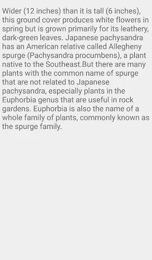 Japanese Spurge Screenshot 2