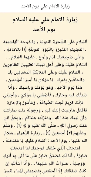 زيارة الامام علي (عليه السلام) Screenshot 1