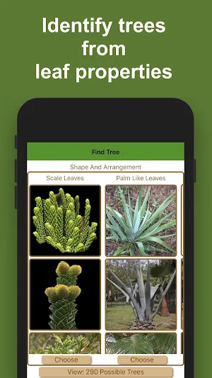 Forest Tree Identification Screenshot 0