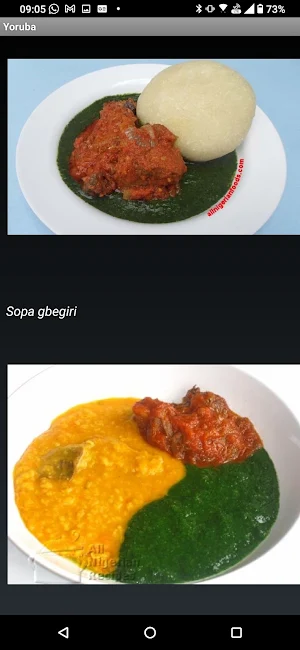 Wazobia - A cultura Nigeriana Screenshot 3