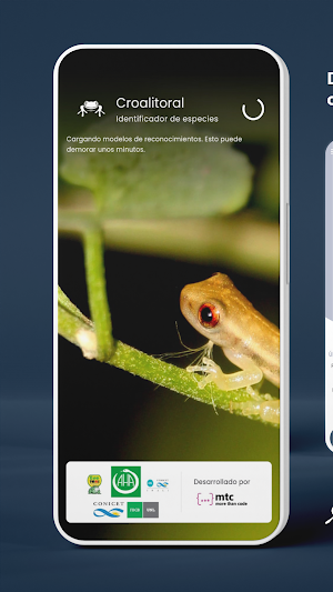 Croalitoral Screenshot 0