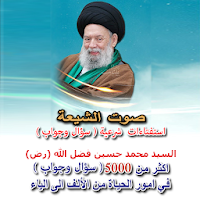 استفتاءات (سؤال وجواب) السيد محمد حسين فضل الله
