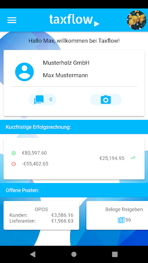 Taxflow Austria Screenshot 1