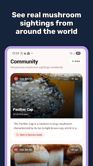 Mushroom ID By ShroomPic Screenshot 3