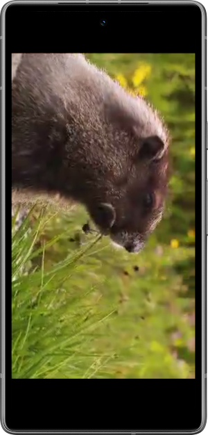 StreamLink Player Pro + Screenshot 3