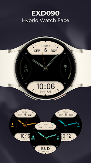 EXD090: Hybrid Watch Face Screenshot 0
