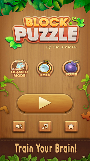 Wood Block Puzzle Game! Screenshot 2