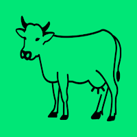 Cattle Feeds Formulation